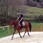 Benjamin Romano - Instagram Profile Picture of Benjamin Romano (@bencobali) on Instagram