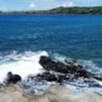 Profile Picture of Lisa Mccrillis (@lisa-mccrillis-2) on Quora