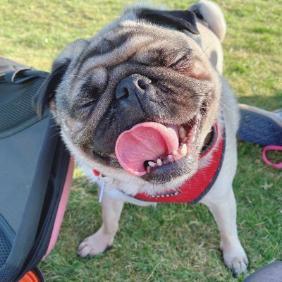 Profile Picture of Scott Caraway (@scottcaraway1) on Twitter