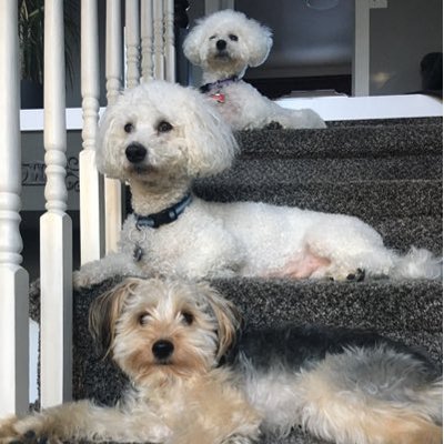 Profile Picture of Mickey Jeffrey (@mickeymjeffrey) on Twitter