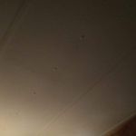 Bobbie Cale Stevens - Instagram Profile Picture of Bobbie Cale Stevens (@bobbiecalestevens) on Instagram