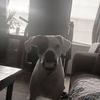 Profile Picture of danielletrader108 (@@danielletrader108) on Tiktok