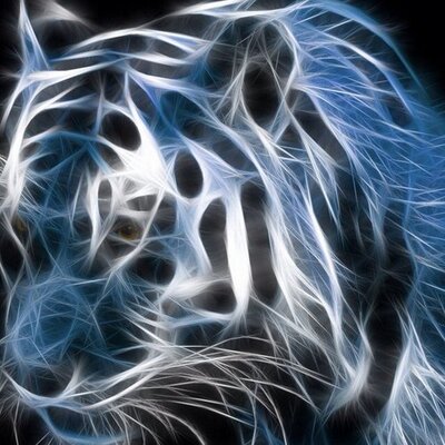 Profile Picture of Christopher Crocco (@chistaco09) on Twitter