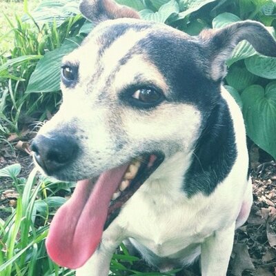 Profile Picture of Daniel Olive (@mrdanielolive) on Twitter