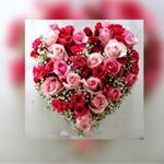 Profile Picture of Martin Perrin (@martin.perrin47) on Instagram