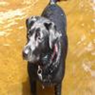 Profile Picture of Steve Lombardo (@sllombardo1117) on Twitter