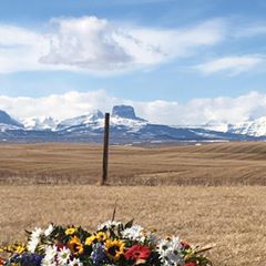 Profile Picture of Dixie Berezay Kramer (@dixieberezaykrame) on Tiktok