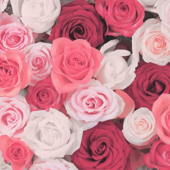 Profile Picture of Bri Allen (@briallen123) on Poshmark