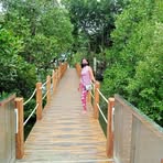 Josephine Colesio - Facebook Profile Picture of Josephine Colesio (@josephine.colesio) on Facebook