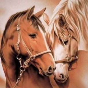 Profile Picture of LUZ EDITH ALVAREZ V (@luzedithav) on Twitter