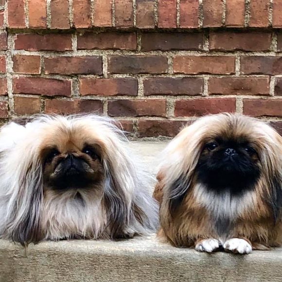 Profile Picture of Ariel Baron-robbins (@ayoleah) on Poshmark