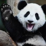 Profile Picture of Richard Ponte (@richponteee) on Twitter