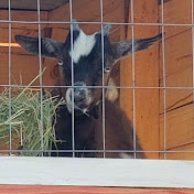 Profile Picture of Wesley Groves (@7753World) on Youtube