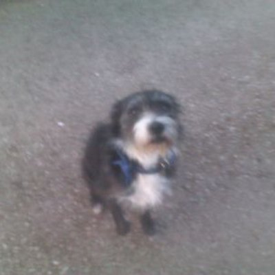 Profile Picture of Andrew McCarron (@gallowglasspoet) on Twitter