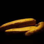 Profile Picture of Martin Tripp (@abyssal_banana) on Instagram