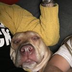 Profile Picture of Addison Blake Bost (@addison_bost_) on Instagram