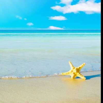 Profile Picture of Sheila Chase (@sheshec23) on Twitter