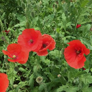 Profile Picture of Bora Yang (@ysymay) on Facebook