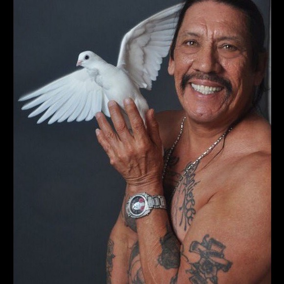 Profile Picture of Danny trejo Holding a dove (@foxhound241) on Poshmark
