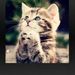 Profile Picture of Tammye Clary (@pop0850) on Pinterest