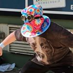 Profile Picture of Simon Belcher (@baby_belch_64) on Instagram