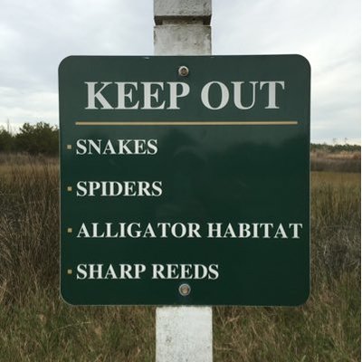 Profile Picture of Mark Steadman (@docsteadman) on Twitter