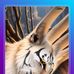 Profile Picture of David Gaano (@David-Gaano) on Facebook