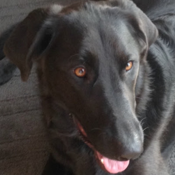 Profile Picture of Madeline Haukap (@mhaukap3556) on Poshmark