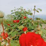 Profile Picture of Samantha Sanson (@samantha_sanson) on Instagram