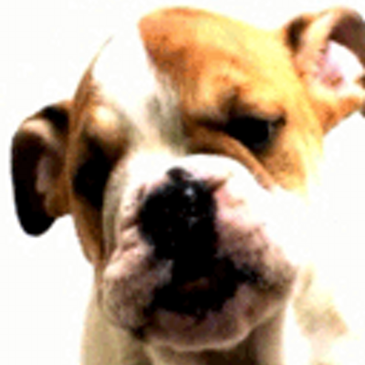 Profile Picture of Isabel Casanova (@isabelcasanov13) on Twitter