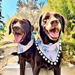 Profile Picture of Brady and Bella (@brady.bella.labtwins) on Instagram