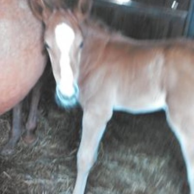 Allan Hennard - Twitter Profile Picture of Allan Hennard (@ahennard1) on Twitter