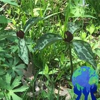 Profile Picture of Becky Schroeder Schumacher (@becky-schroeder-schumacher) on Quora