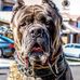 Profile Picture of Ivan Ibarra (@ivan.ibarra.90) on Facebook
