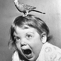 Profile Picture of April Given-tolson (@april-given-tolson) on Quora