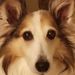 Profile Picture of Vicky Tsai (@vickytsai4) on Pinterest