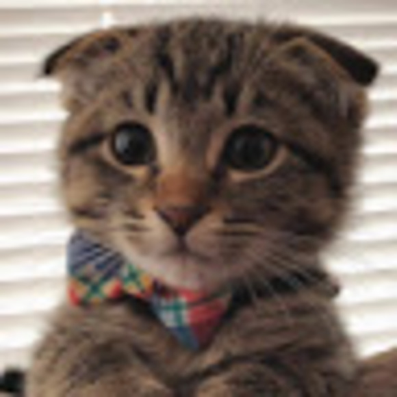 Alex Krayons - Poshmark Profile Picture of Alex Krayons (@alex2004krenz) on Poshmark