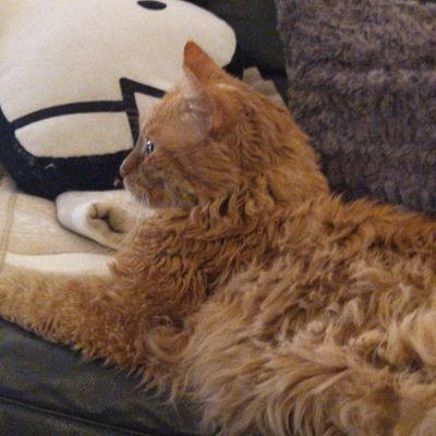 Profile Picture of MartinWu (@MartinWu001) on Twitter