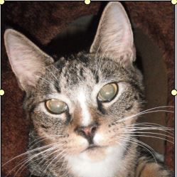 Profile Picture of Jessica Hobart (@Jessica-Hobart) on Facebook