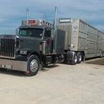 Profile Picture of Chris Lakey (@lakey840) on Instagram