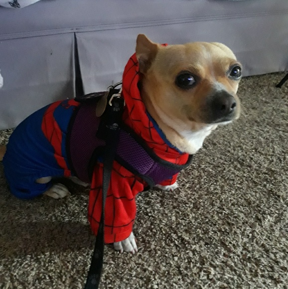 Profile Picture of Jean Capretti (@grungegirl62) on Poshmark