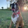 Profile Picture of craigdenning255 (@@craigdenning255) on Tiktok