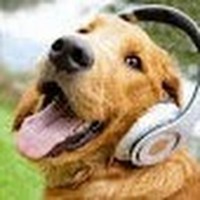 Profile Picture of Caleb Muse (@caleb-muse-2) on Quora