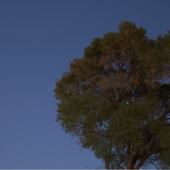 Profile Picture of Dexter Martin (@discounteded) on Poshmark