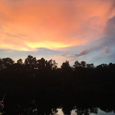 Profile Picture of Debbie Nicks (@drn360) on Twitter