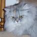 Profile Picture of Lorrie Yandek Duff (@lorrie.duff) on Facebook