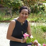 Profile Picture of Jacqueline Fox (@jacquelinenfox7) on Instagram