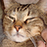 Profile Picture of Mark Johnston (@mark johnston) on Flickr