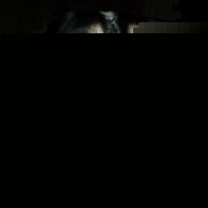 Profile Picture of Debra Quinn (@muthadearest) on Myspace