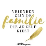 Profile Picture of Tonneke Landvreugd (@tonnekelandvreugd) on Instagram